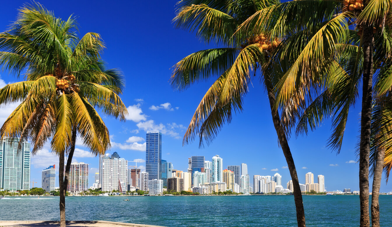 Sea temperature in december in Florida: Where should you swim in december 2022?