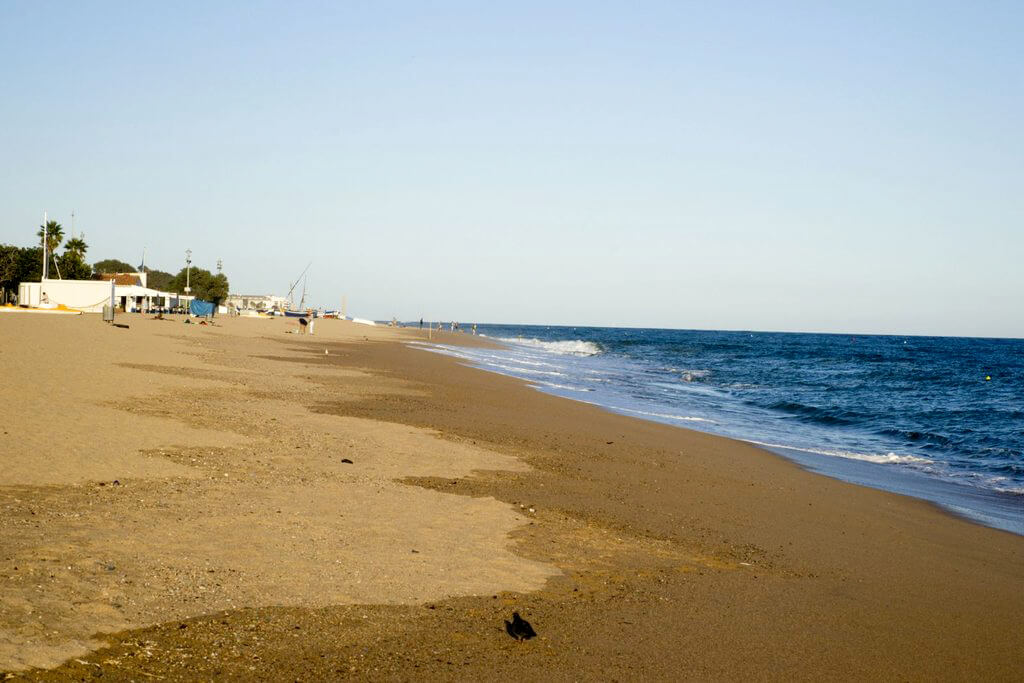 Sea Temperature In October In Pineda De Mar Swimming In October 2021