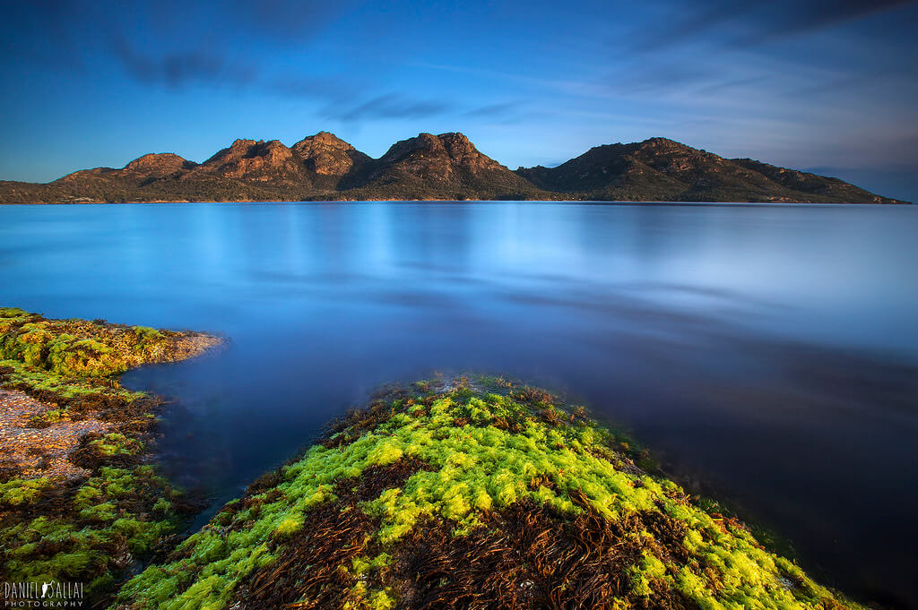 Tasmania Sea water temperature Today and Forecast