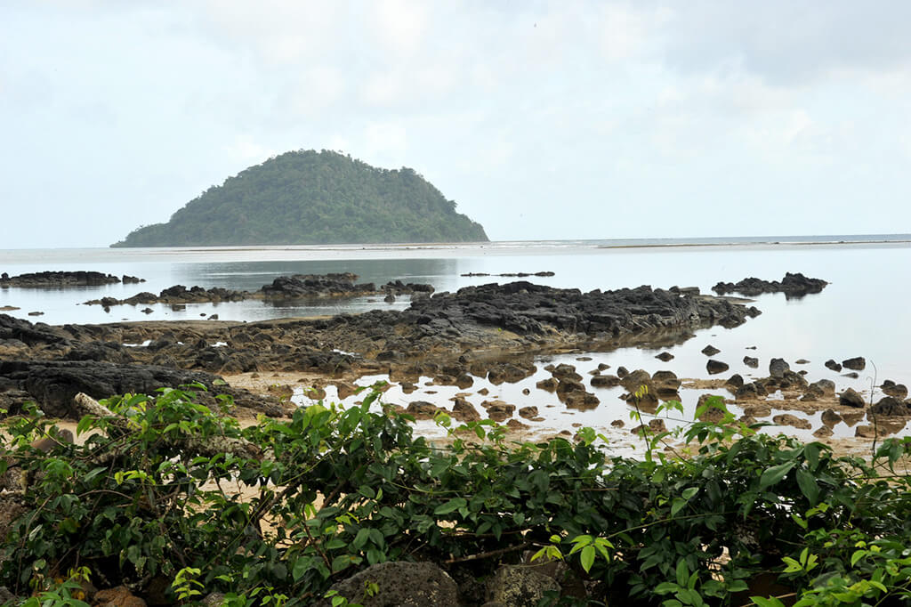 Tide In Taveuni Island Full 14 day Tide Schedule