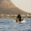 Best time to swim in Hermanus: sea water temperature by month